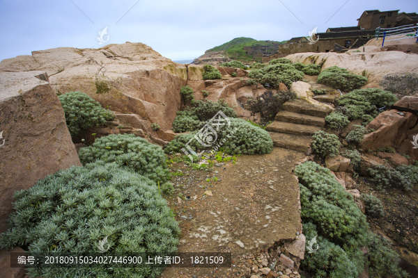 浙江,舟山,東極島,海島,海浪,石頭,那片海,漁村