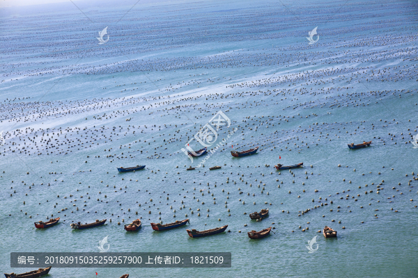 浙江,舟山,嵊泗,枸杞島,海島,海灣,船,碼頭,沙灘,礁石,海浪,漁村