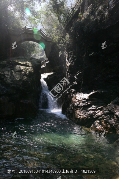 森林公園