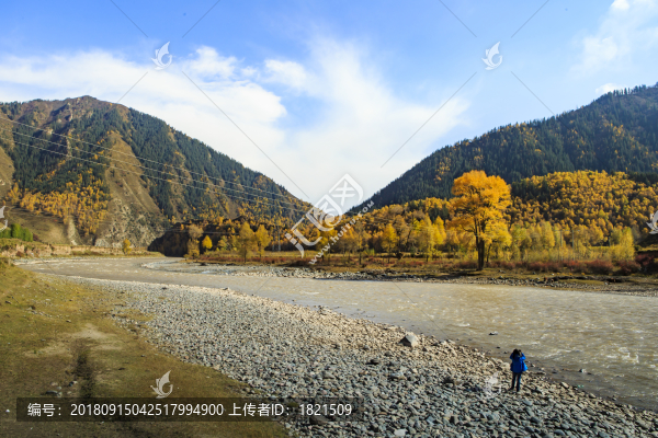 甘肅,祁連山,秋色,原野,荒原,樹木