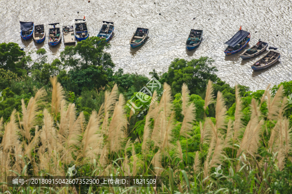 福建,霞浦,小皓,漁船,俯瞰,沙灘,漁村