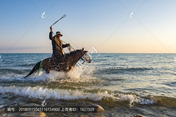 青海湖,馬,水花,湖水