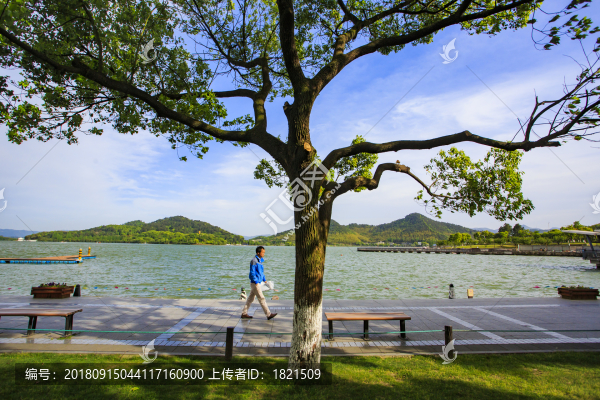 東錢湖,旅游度假區(qū)