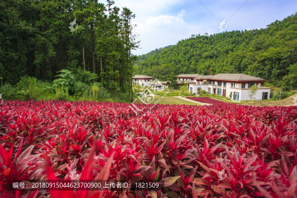 東錢湖,旅游度假區(qū)