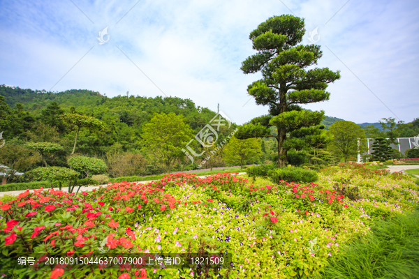 東錢湖,旅游度假區(qū)