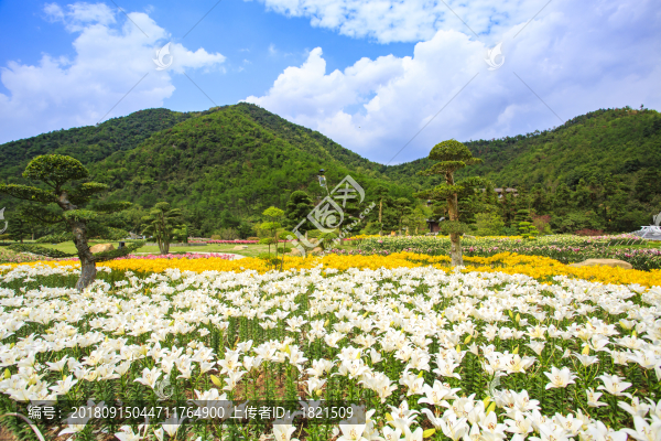 東錢湖,旅游度假區(qū)