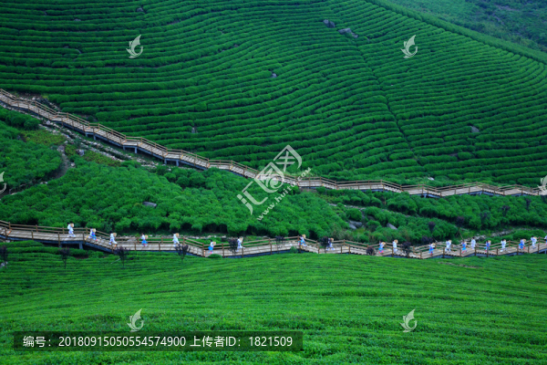 旅游度假區(qū)