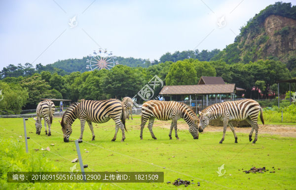 東錢湖,旅游度假區(qū)