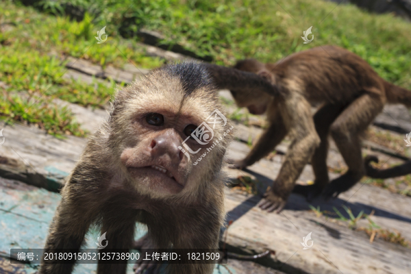 動物園