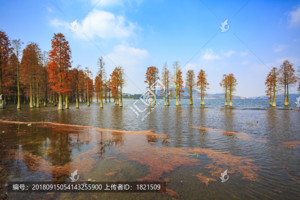 余姚市