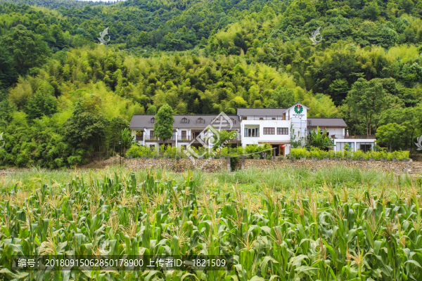 奉化區(qū)