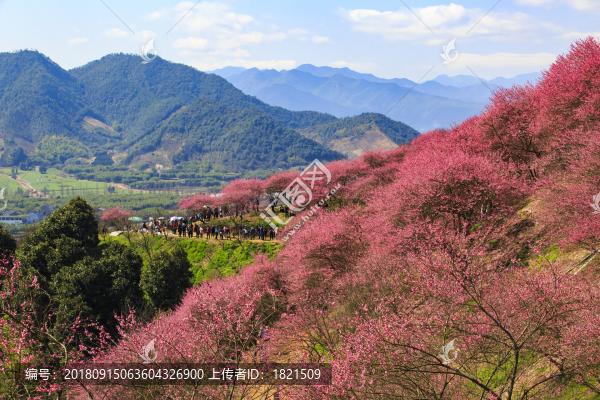 奉化區(qū)