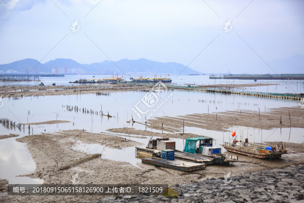 奉化區(qū)