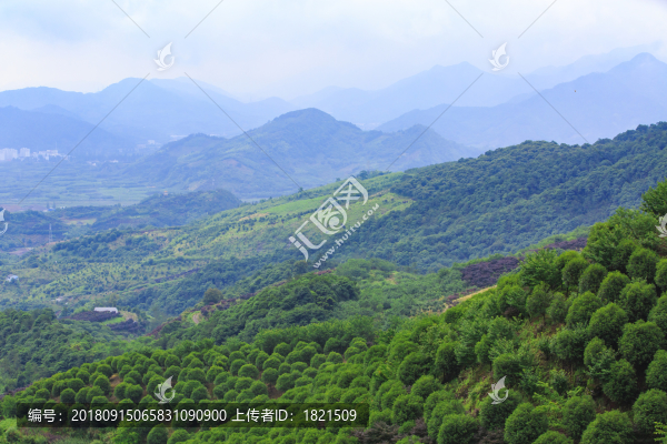 奉化區(qū)