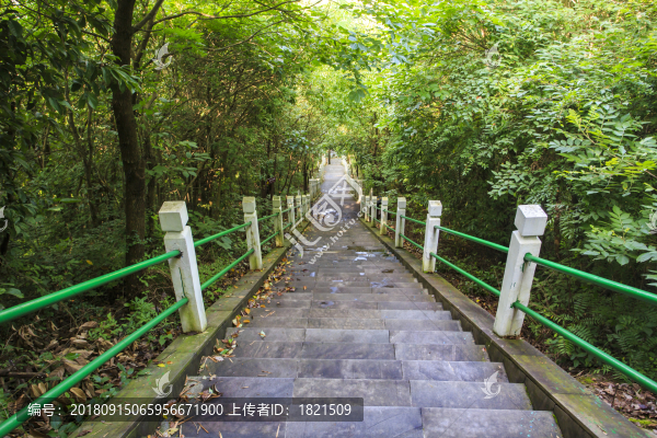 奉化區(qū)