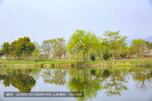 寧波,鄉(xiāng)村,農(nóng)村,城鎮(zhèn)