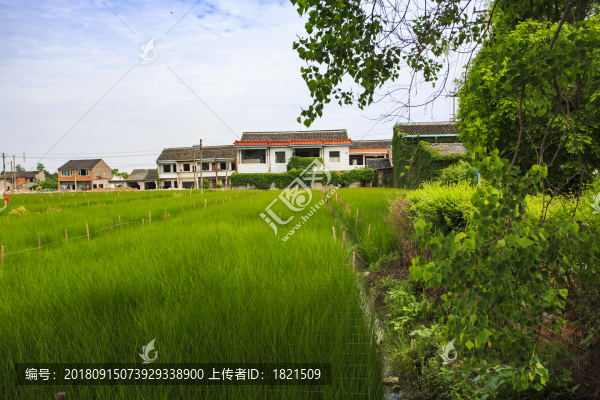寧波,鄉(xiāng)村,農(nóng)村,城鎮(zhèn)
