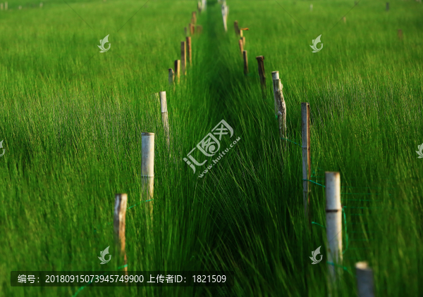 寧波,鄉(xiāng)村,農(nóng)村,城鎮(zhèn)