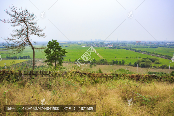 寧波,鄉(xiāng)村,農(nóng)村,城鎮(zhèn)