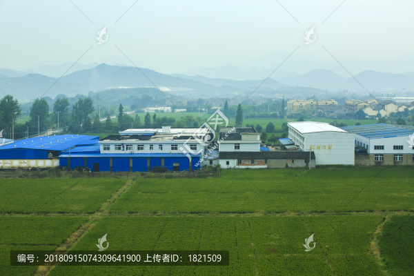 寧波,鄉(xiāng)村,農(nóng)村,城鎮(zhèn)