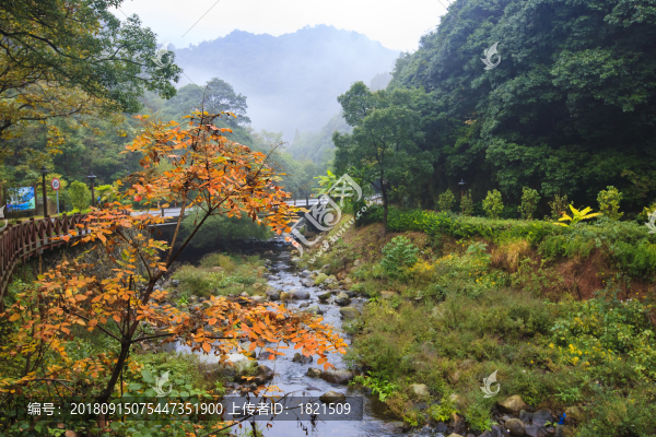 寧波,鄉(xiāng)村,農(nóng)村,城鎮(zhèn)
