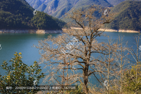 青山綠水