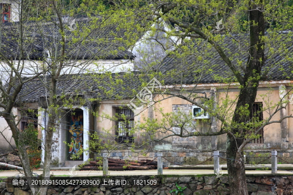 小溪河流
