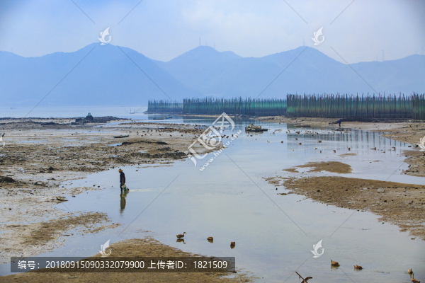 寧海縣