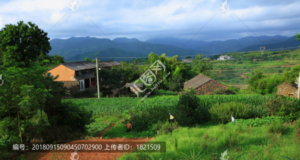 鄉(xiāng)村風貌