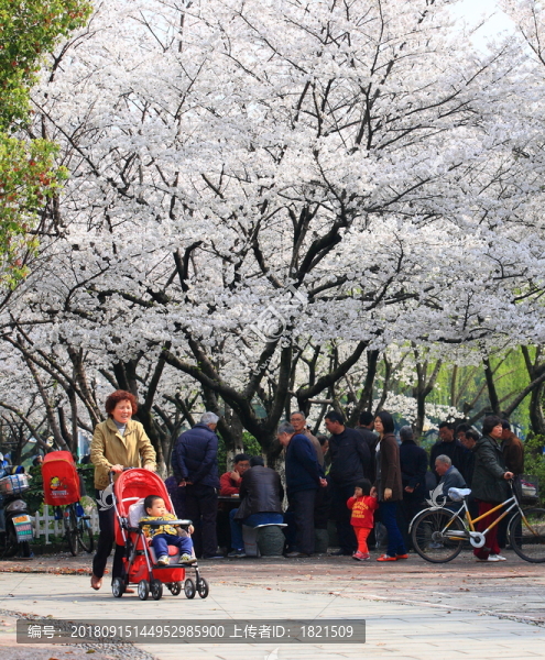 戶外公園