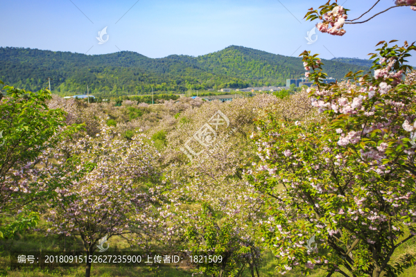 海曙區(qū)