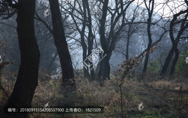 戶外山水