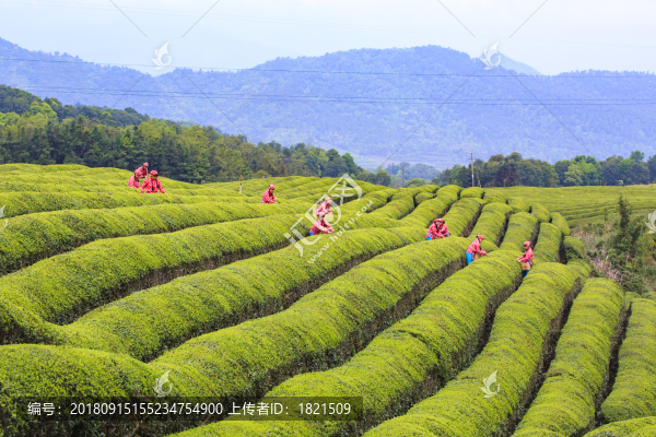 海曙區(qū)