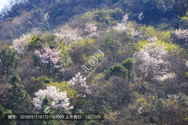 海曙區(qū)