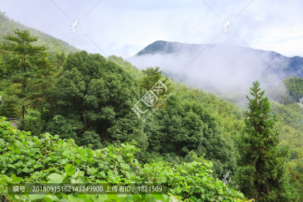 海曙區(qū)