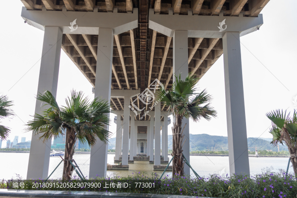 橋底