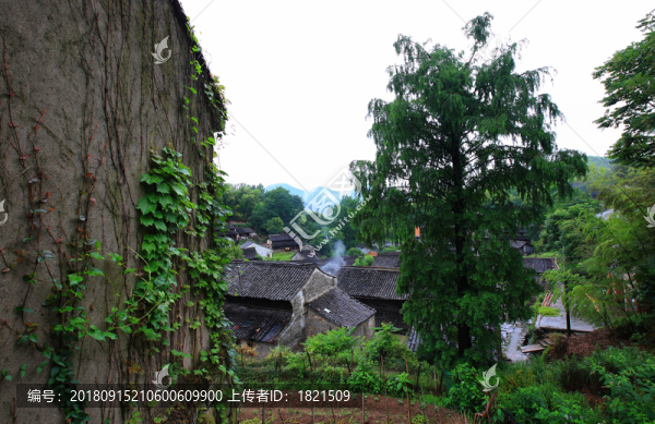 農(nóng)村風(fēng)貌