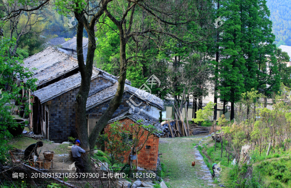農(nóng)村風貌