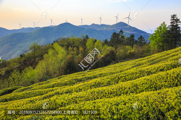 鄞州區(qū)