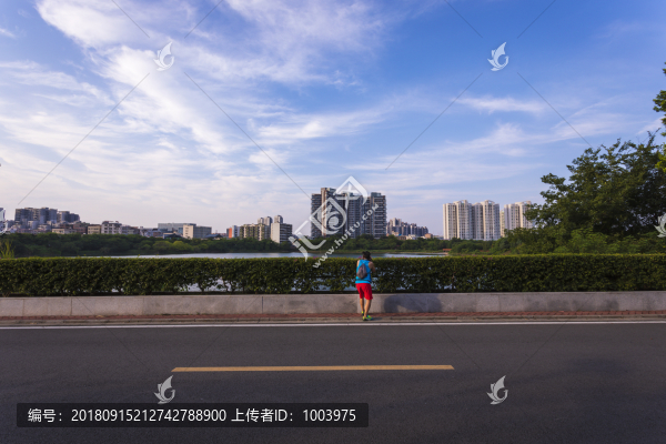 湖泊濕地花都胡