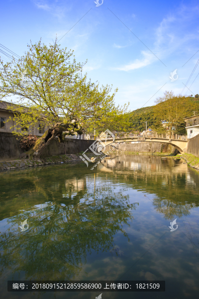 鄞州區(qū)