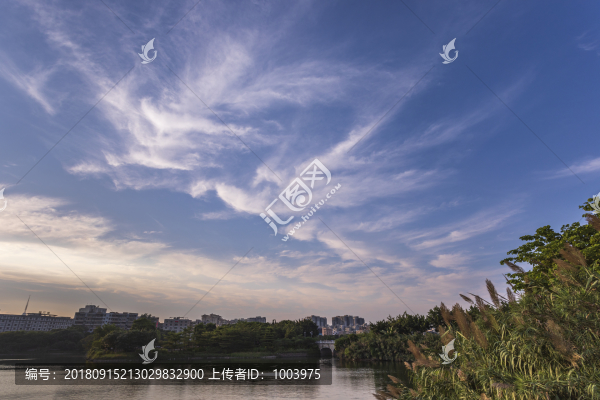 湖泊濕地花都胡