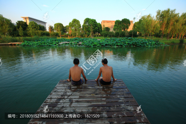 荷塘風(fēng)光