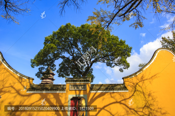 鄞州區(qū)