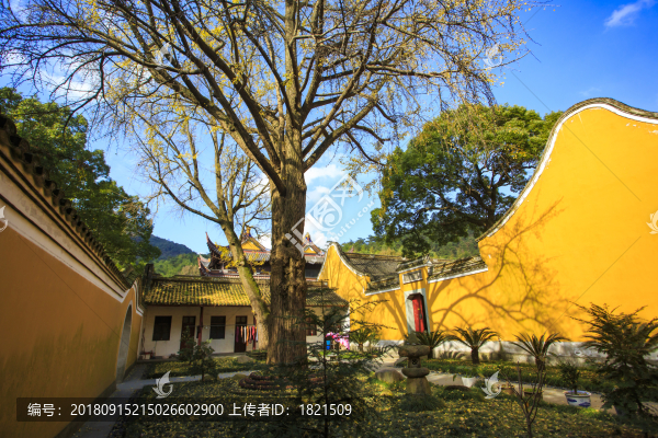 鄞州區(qū)
