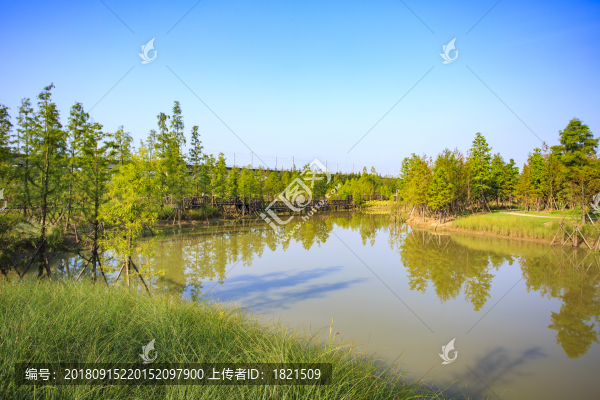 鎮(zhèn)海區(qū)