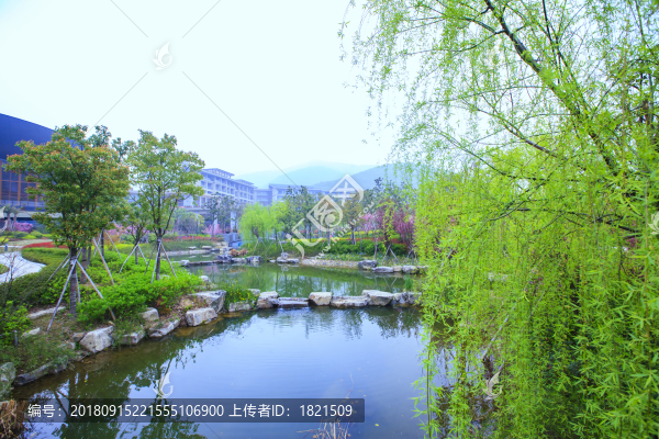 鎮(zhèn)海區(qū)