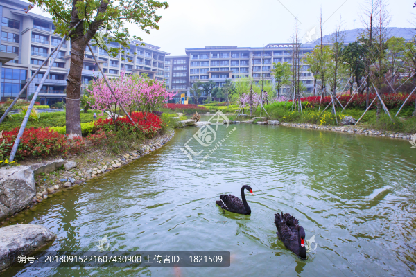 鎮(zhèn)海區(qū)