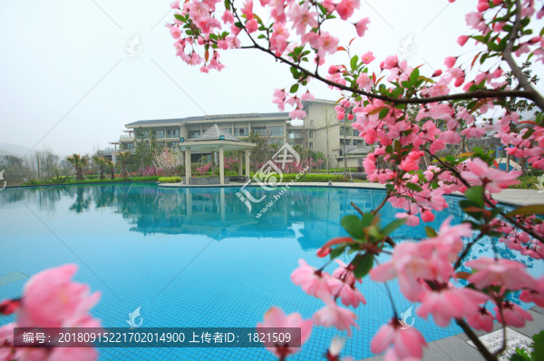 游泳池