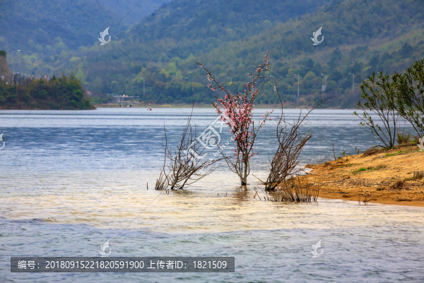鎮(zhèn)海區(qū)